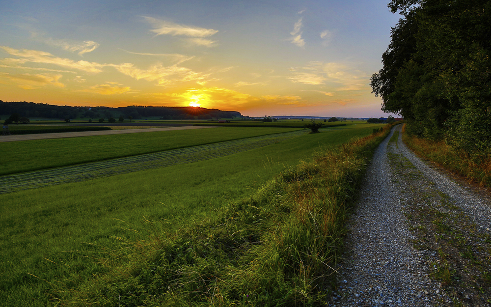 Platz 5 Willi Bitzer